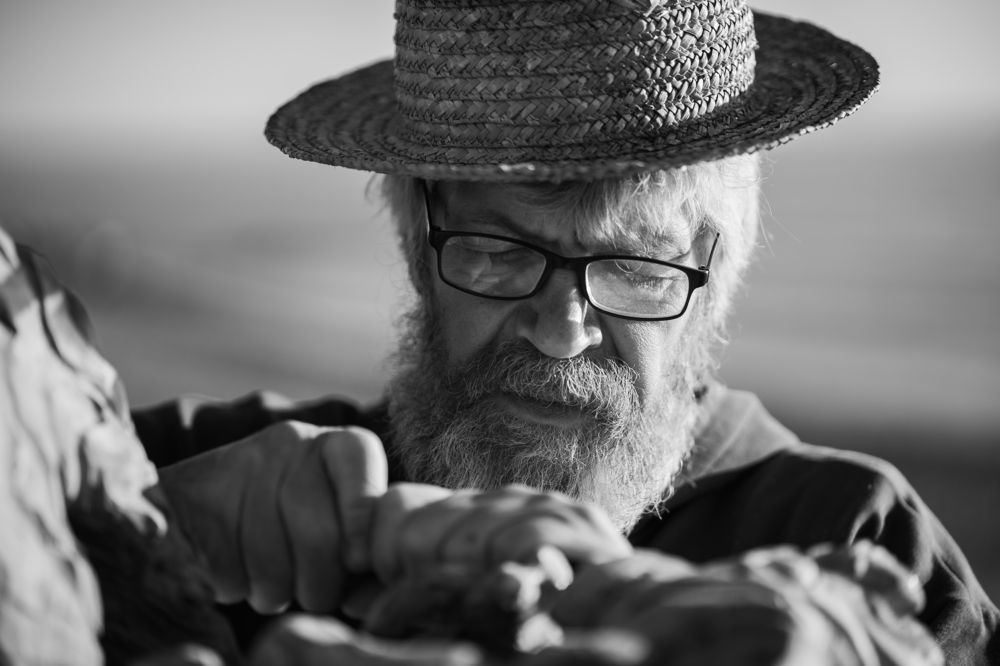 Photograph by Бондаренко Денис