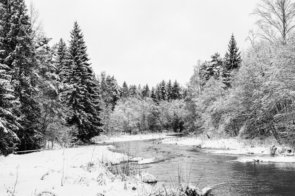 Photograph by Людмила Щепилова