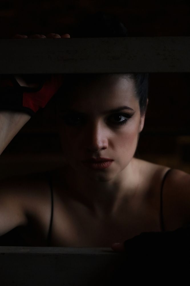 Сквозь сумерки (Through the twilight)