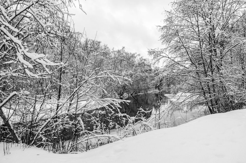 Photograph by Людмила Щепилова