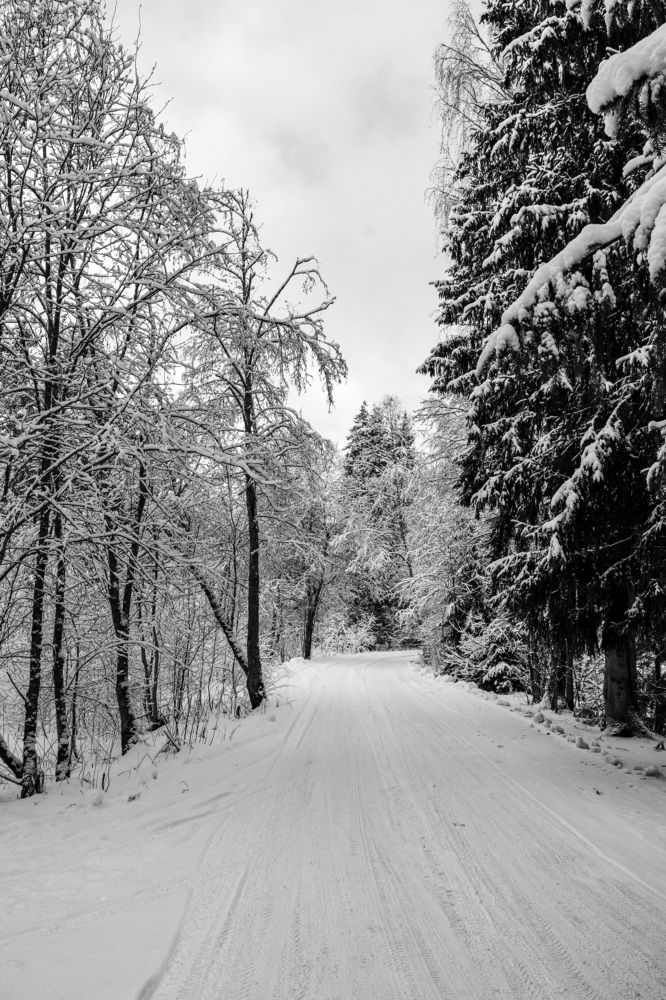 Photograph by Людмила Щепилова