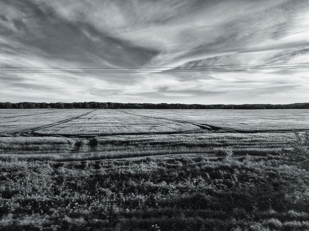 Photograph by Анастасия Кочетова