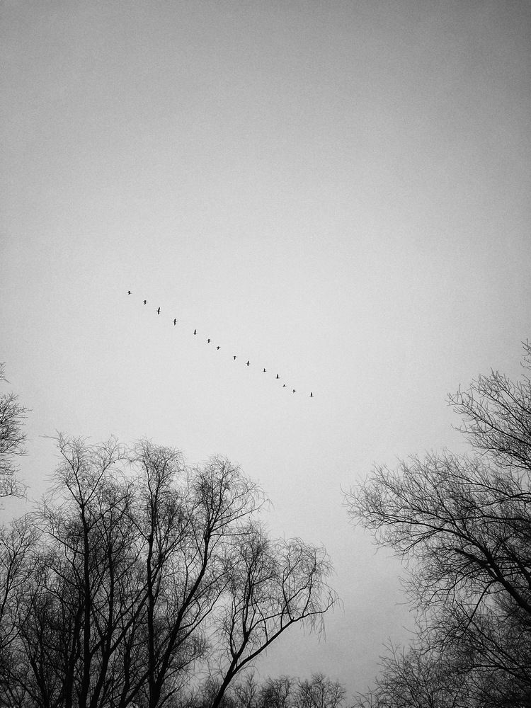 Photograph by Яна Сел