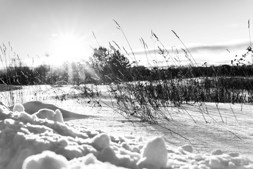 Photograph by Светлана Волкова