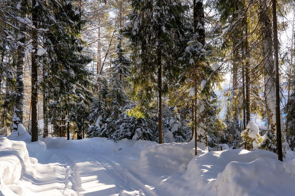 Photograph by Светлана Волкова