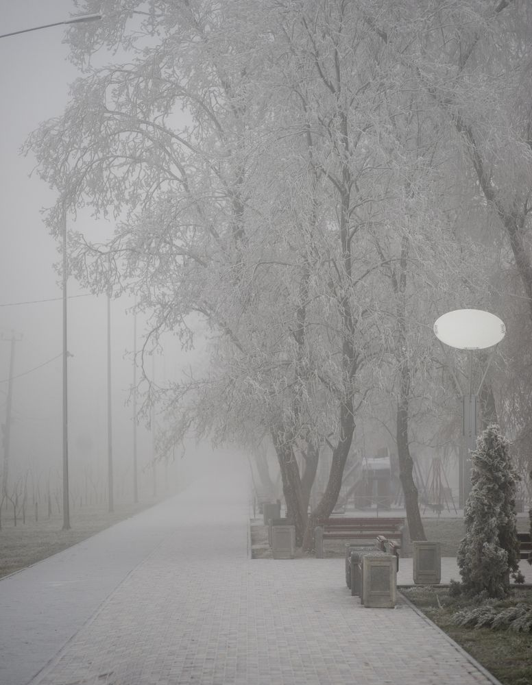 Аллея здоровья