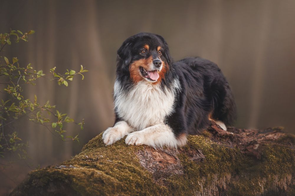 Photograph by Яна Нарбутович