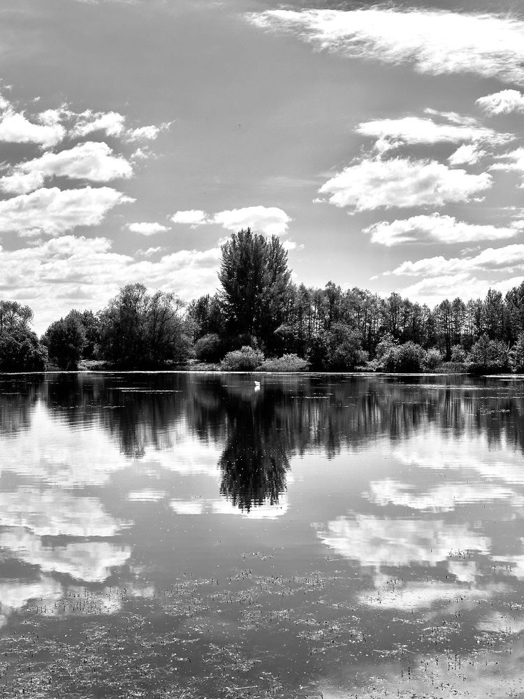 Photograph by Наумова Татьяна