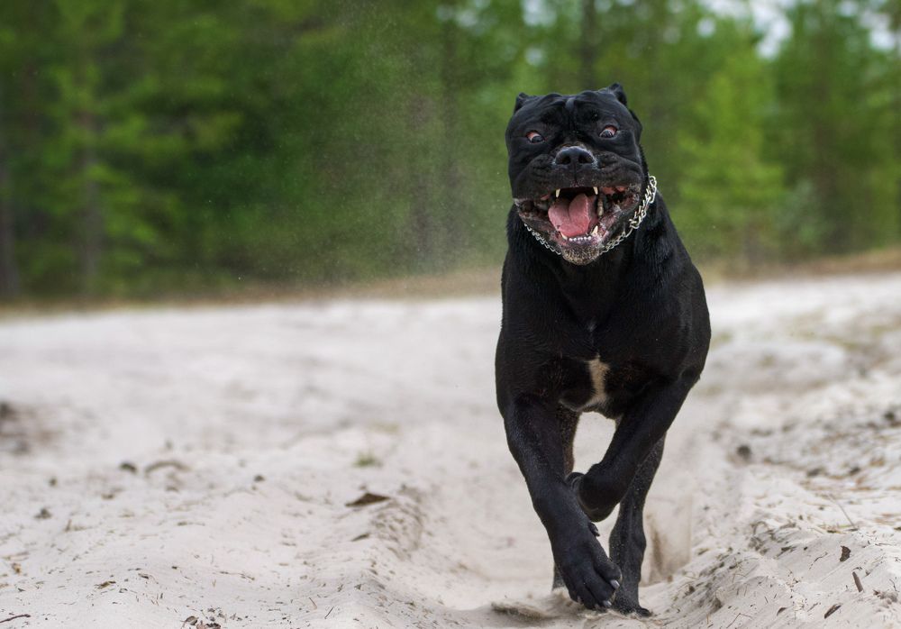 Фотография автора Viktoriya Kim