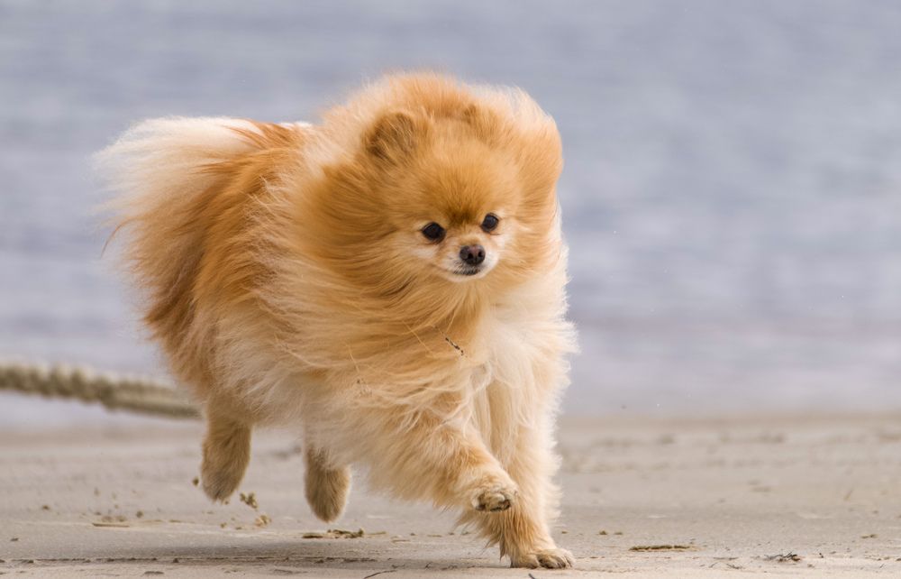 Фотография автора Viktoriya Kim