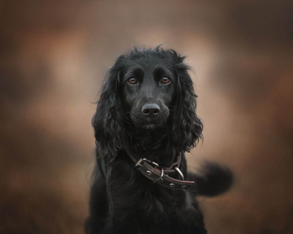 Фотография автора Юлианна Митрофанова