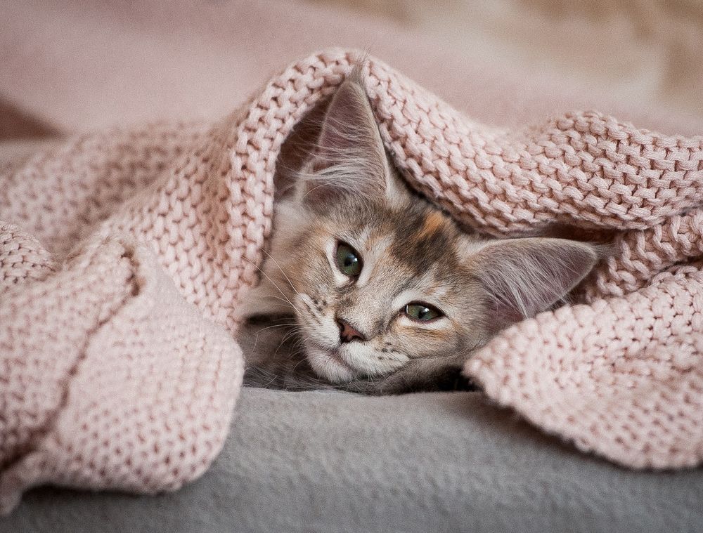 Photograph by Ирина Логовская