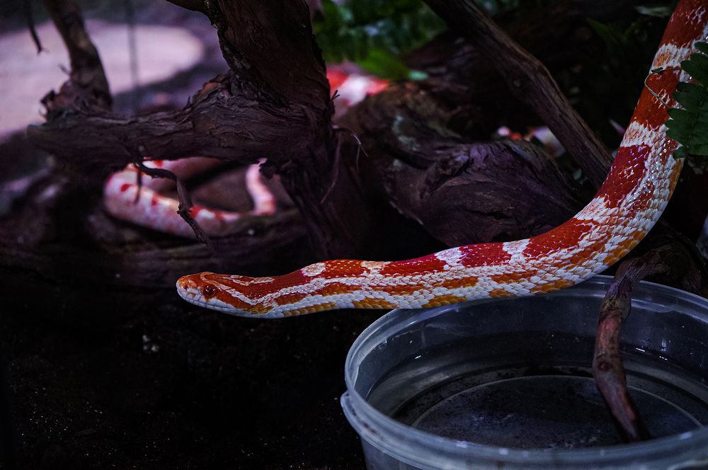 Photograph by Евгений Гонтов