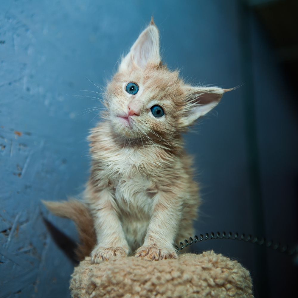 Photograph by Ирина Логовская