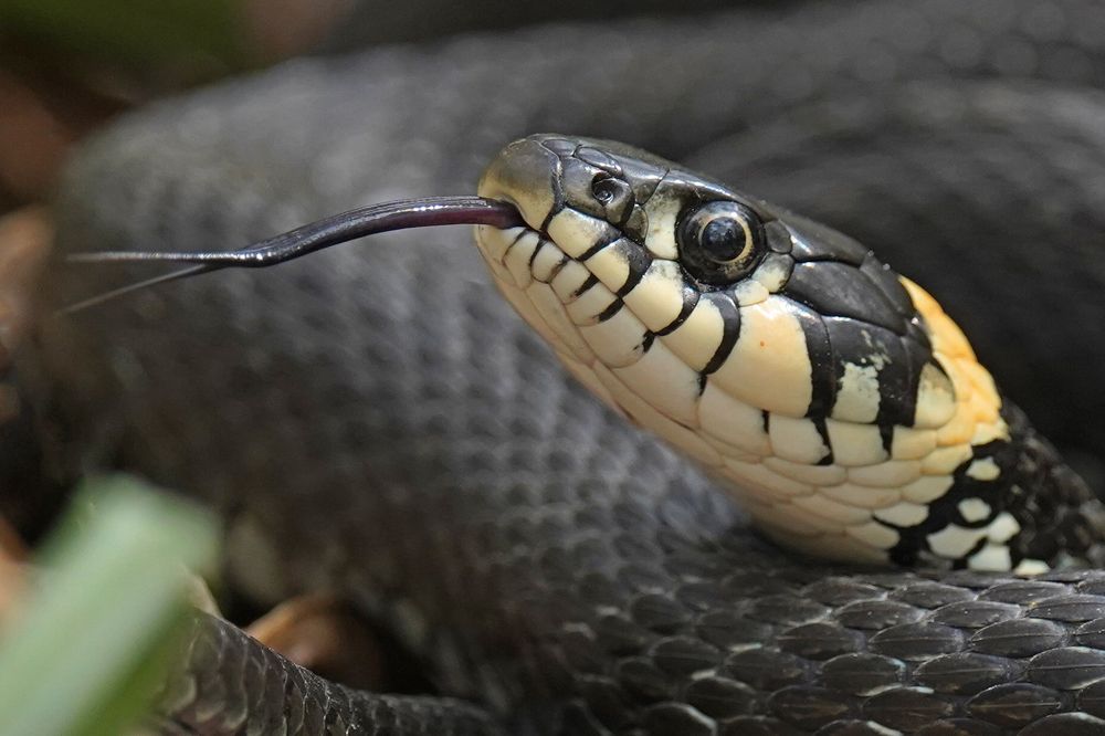 Photograph by Владимир Соколов