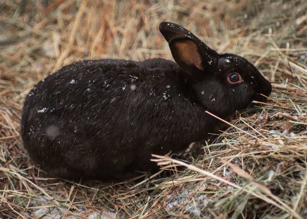 Photograph by Тамара Вотинцева