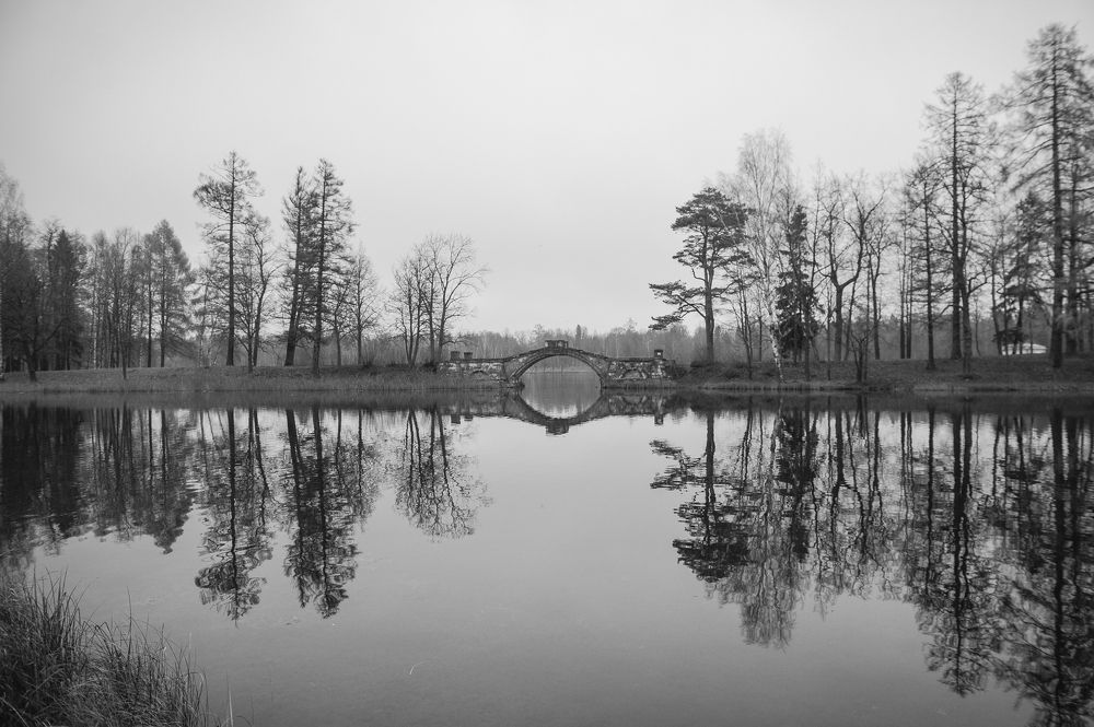 Фотография автора Альбина Хальяк