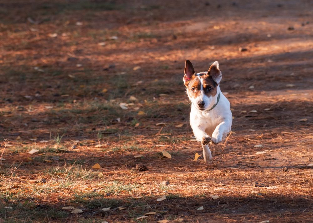 Photograph by Тамара Вотинцева