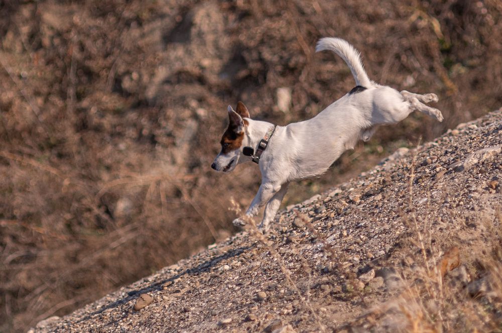 Photograph by Тамара Вотинцева