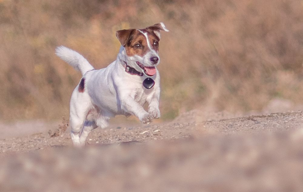 Photograph by Тамара Вотинцева