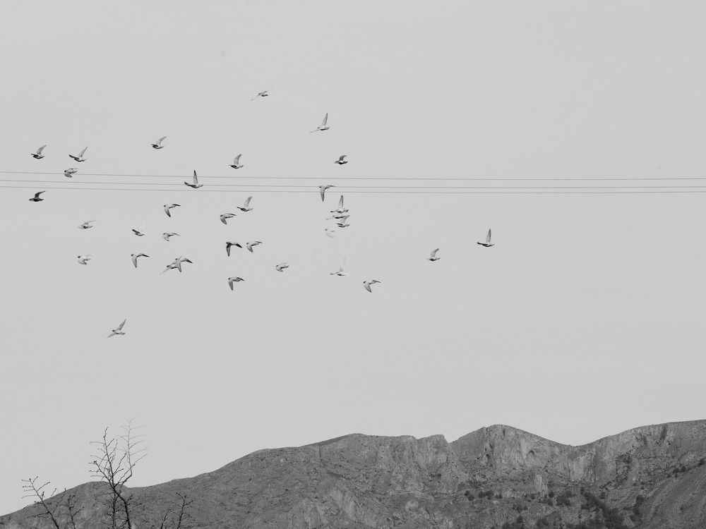 Photograph by Natalya Sedina