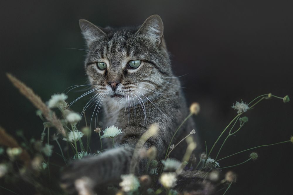 Photograph by Юлианна Митрофанова