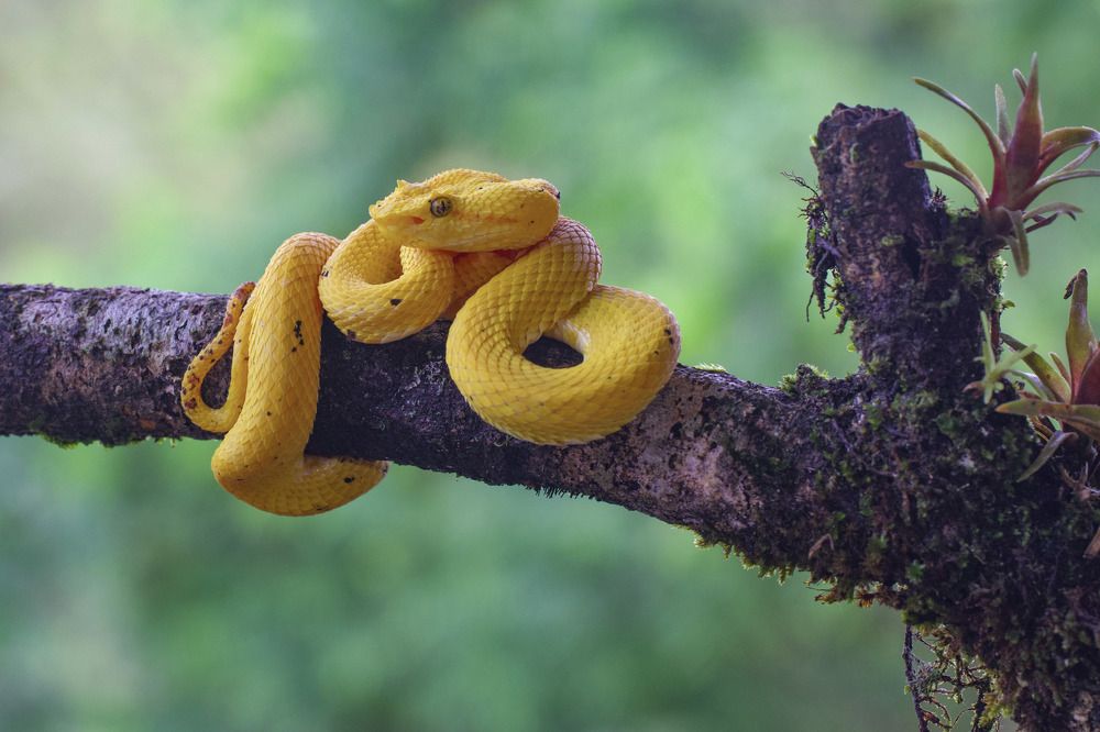 Photograph by David Manusevich