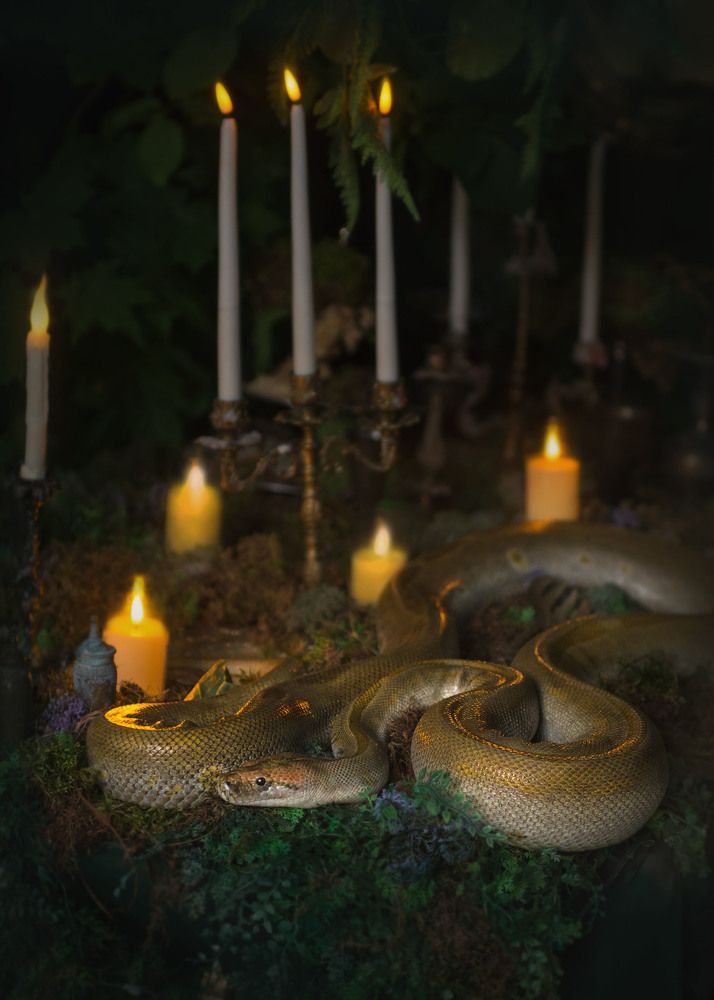 Photograph by Ольга Лобачёва