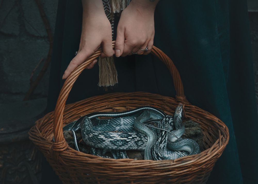 Photograph by Ольга Лобачёва