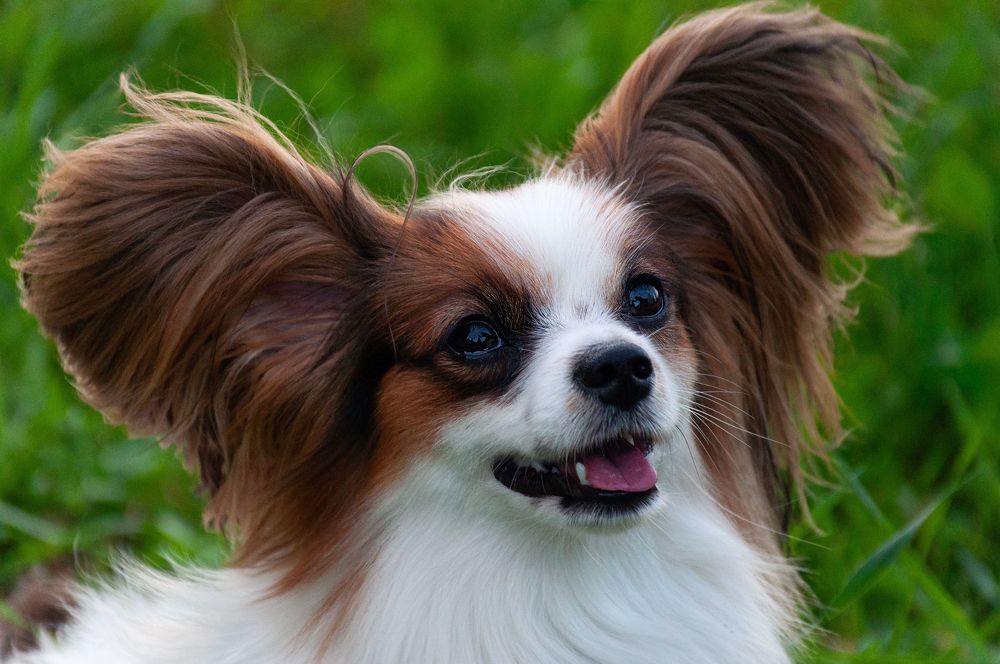 Photograph by Марина Шоркина