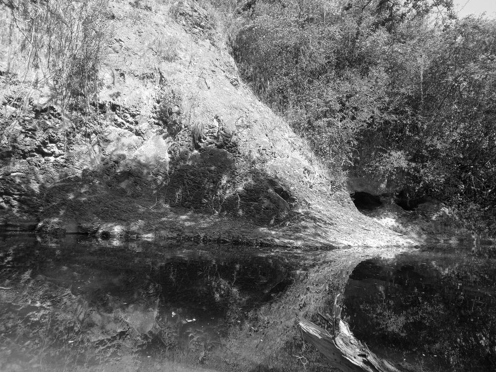 Photograph by Tatiana Callejas