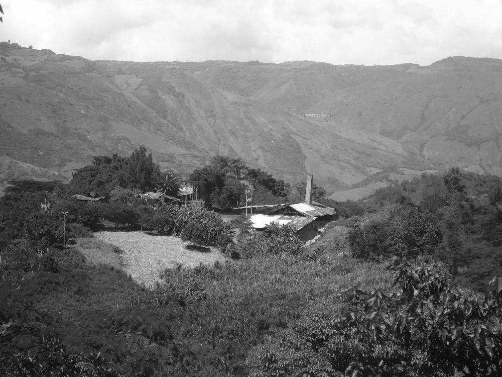 Photograph by Tatiana Callejas