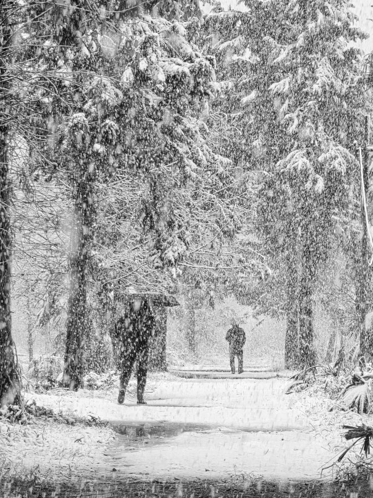 Photograph by Masoumeh Rahimi