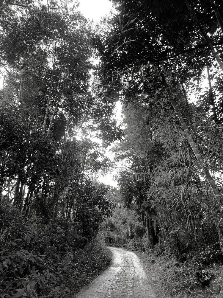 Photograph by Tatiana Callejas