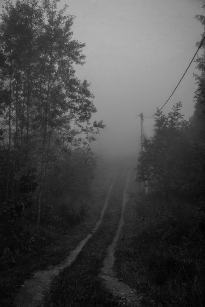 Photograph by Милена Полтавец