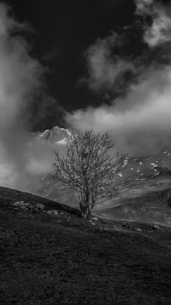 Photograph by Farshad Yazdankhah