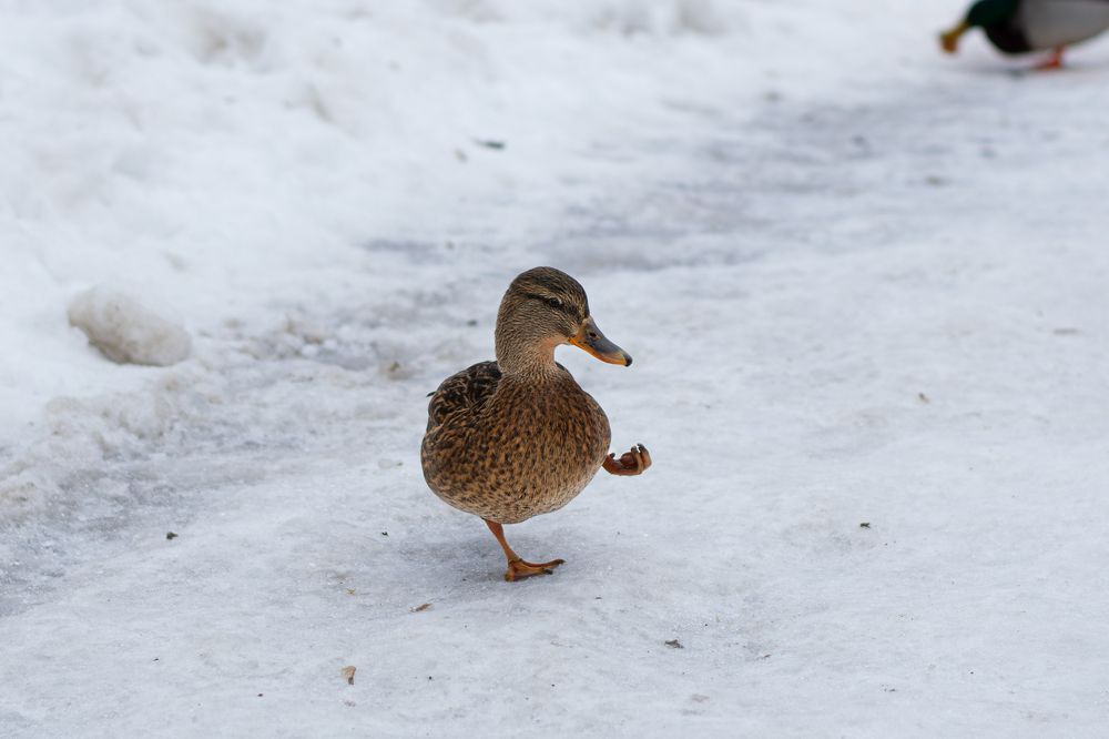 Photograph by Егор Слесарев