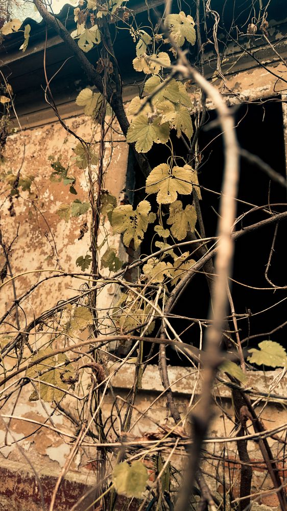 Photograph by Егор Слесарев