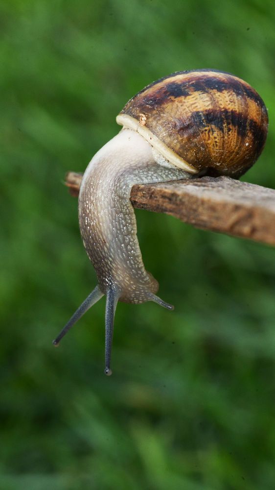 Photograph by Sudevan Manu