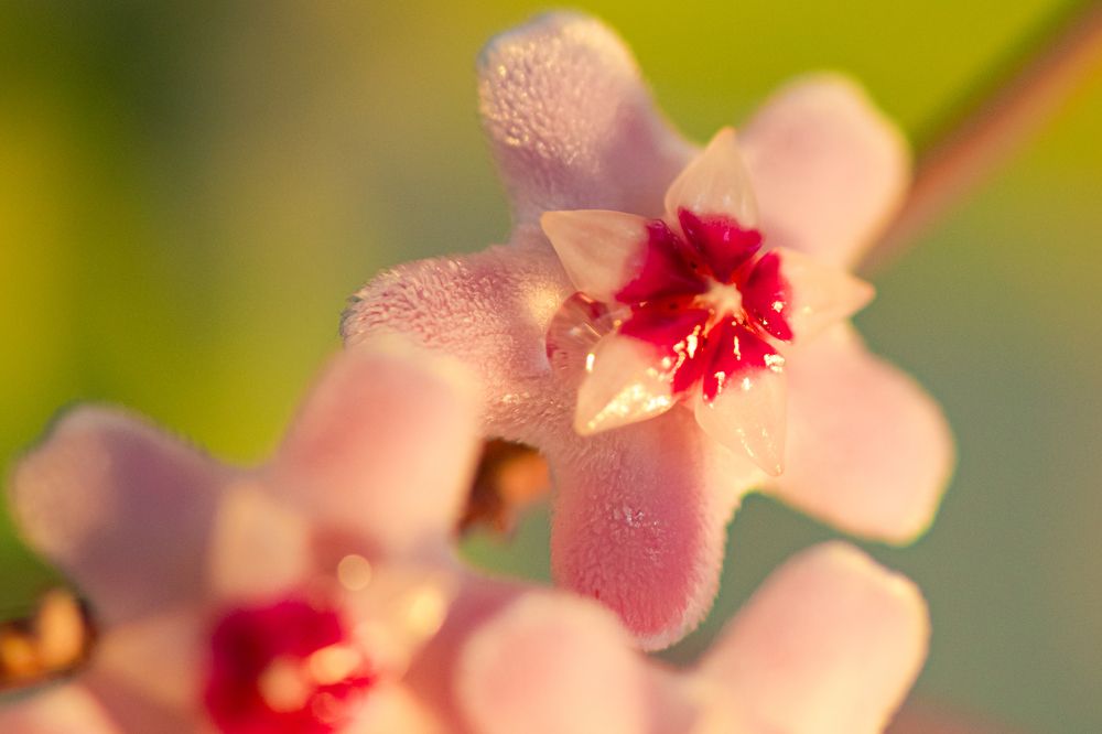 Photograph by Valmir Fernando da Silva