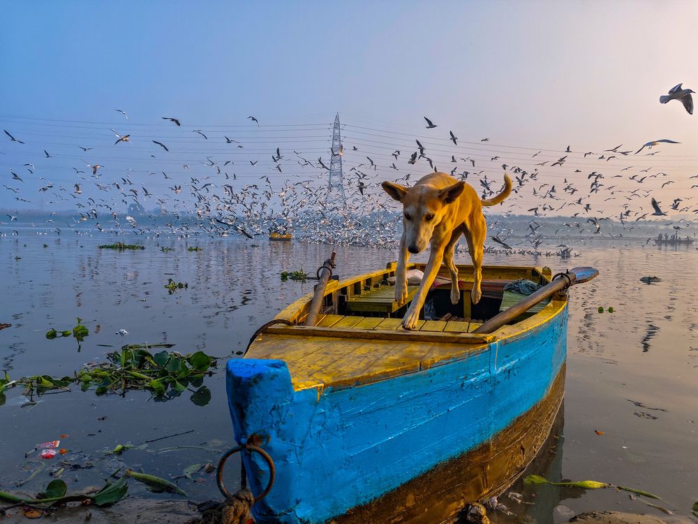 Photograph by HARSHIT MISHRA