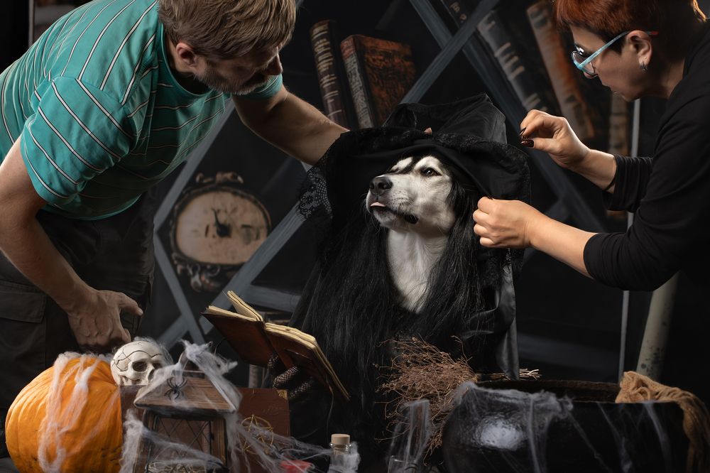 Photograph by Светлана Писарева