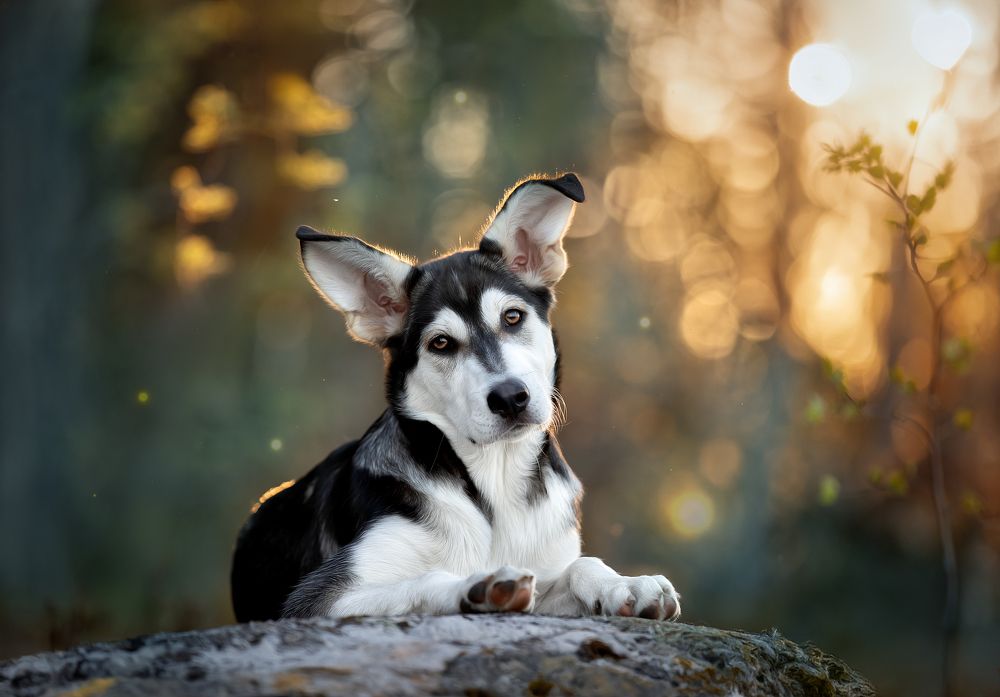 Photograph by Светлана Писарева