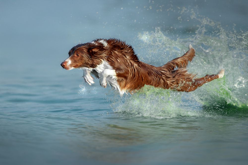 Photograph by Светлана Писарева