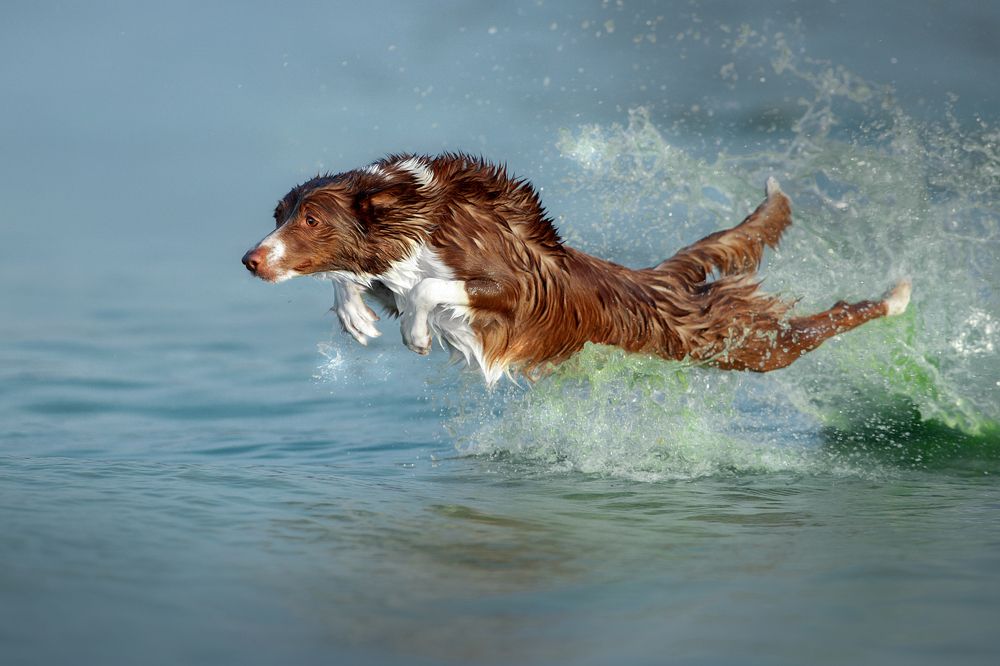 Photograph by Светлана Писарева