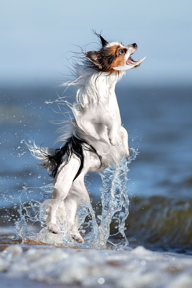 Photograph by Светлана Писарева