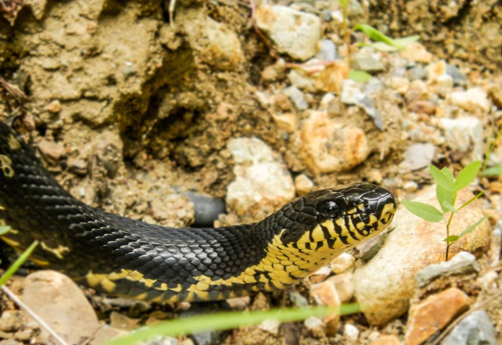 Photograph by Виктор Сёмушкин