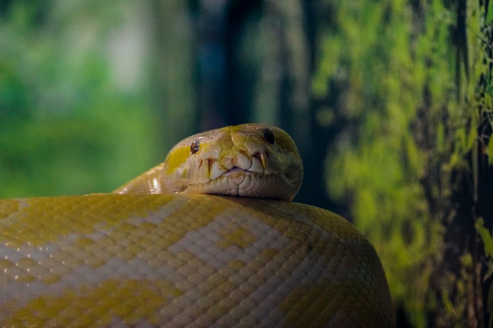 Photograph by Виктор Сёмушкин