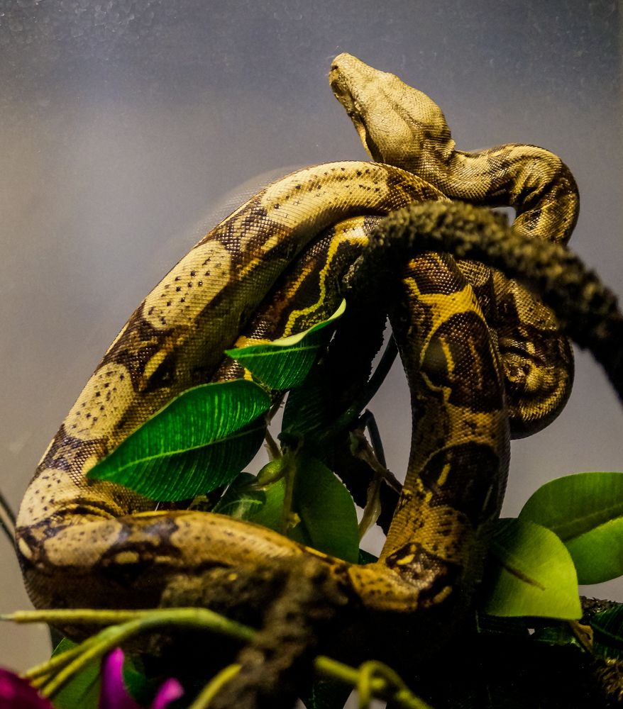 Photograph by Виктор Сёмушкин