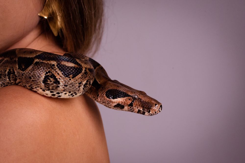 Фотография автора Алена Приподаева